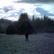 Discover AURIEMMA, americana musician in Seattle, WA, USA. Rate, follow, send a message and read about AURIEMMA on LiveTrigger.