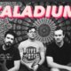 Discover Caladium, band in Dallas, TX, USA. Rate, follow, send a message and read about Caladium on LiveTrigger.