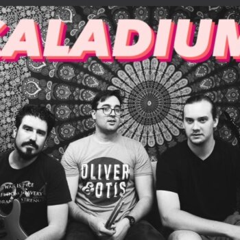 Discover Caladium, band in Dallas, TX, USA. Rate, follow, send a message and read about Caladium on LiveTrigger.