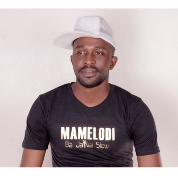 Discover Cheddar Cheeze, dancehall band in Pretoria, South Africa. Rate, follow, send a message and read about Cheddar Cheeze on LiveTrigger.