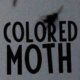 Discover Colored Moth, band in Berlin, Berlin, DE. Rate, follow, send a message and read about Colored Moth on LiveTrigger.