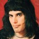 Discover Freddie Mercury jr, band in Alvin, TX, USA. Rate, follow, send a message and read about Freddie Mercury jr on LiveTrigger.