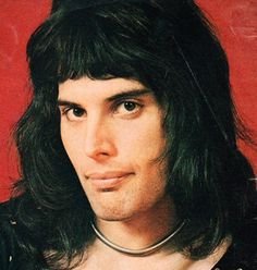 Discover Freddie Mercury jr, band in Alvin, TX, USA. Rate, follow, send a message and read about Freddie Mercury jr on LiveTrigger.