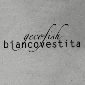 Discover Gecofish, band in Cant&ugrave;, Lombardia, IT. Rate, follow, send a message and read about Gecofish on LiveTrigger.
