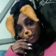 Discover LizzaLilCheeks, rap r&b musician in 205 Liza Lane, Tecumseh, OK 74873, USA. Rate, follow, send a message and read about LizzaLilCheeks on LiveTrigger.