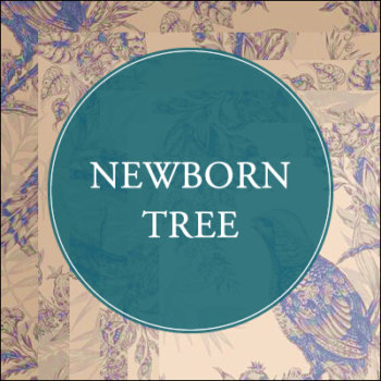 Discover Newborn Tree, musician in Muggi&ograve;, MB, IT. Rate, follow, send a message and read about Newborn Tree on LiveTrigger.
