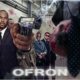 Discover OFRON, band in Charlotte, NC, USA. Rate, follow, send a message and read about OFRON on LiveTrigger.