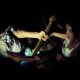 Discover Rewinder, band in Paris, Ile De France, FR. Rate, follow, send a message and read about Rewinder on LiveTrigger.