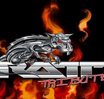 Discover TheRattExperience, hard rock band in South Jersey, NJ, USA. Rate, follow, send a message and read about TheRattExperience on LiveTrigger.
