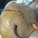 Discover titanium cranium 36, rock/hard rock and metal musician in Poplar Bluff, MO 63901, USA. Rate, follow, send a message and read about titanium cranium 36 on LiveTrigger.
