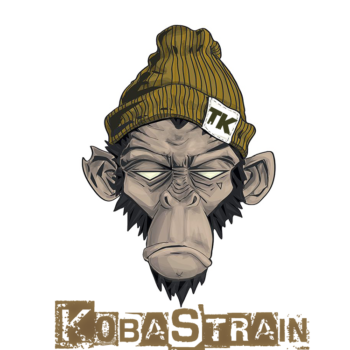 Discover TrillKoba, hip hop / rap musician in St Paul, MN, USA. Rate, follow, send a message and read about TrillKoba on LiveTrigger.