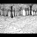 Visual Satiation: Lucas Allen Cook gallery: image 7 of 12